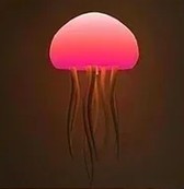 Illustration of a jellyfish with a pinkish-red glow on a dark background