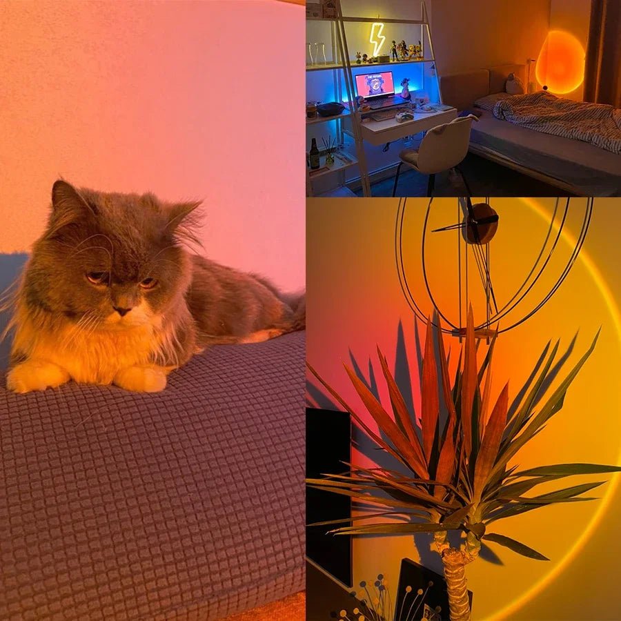 USB Sunset Lamp – LED Rainbow Neon Night Light, Sunset Projector for Home & Photography - Carry Light