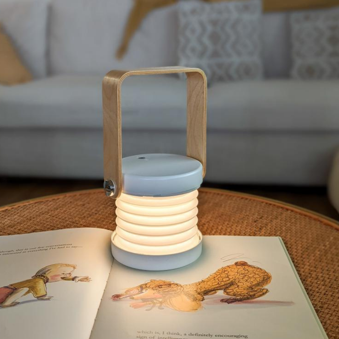 Modern Multi-Purpose Lamp.