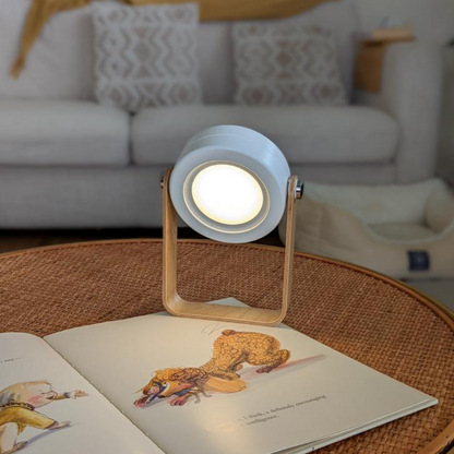 Modern Multi-Purpose Lamp.